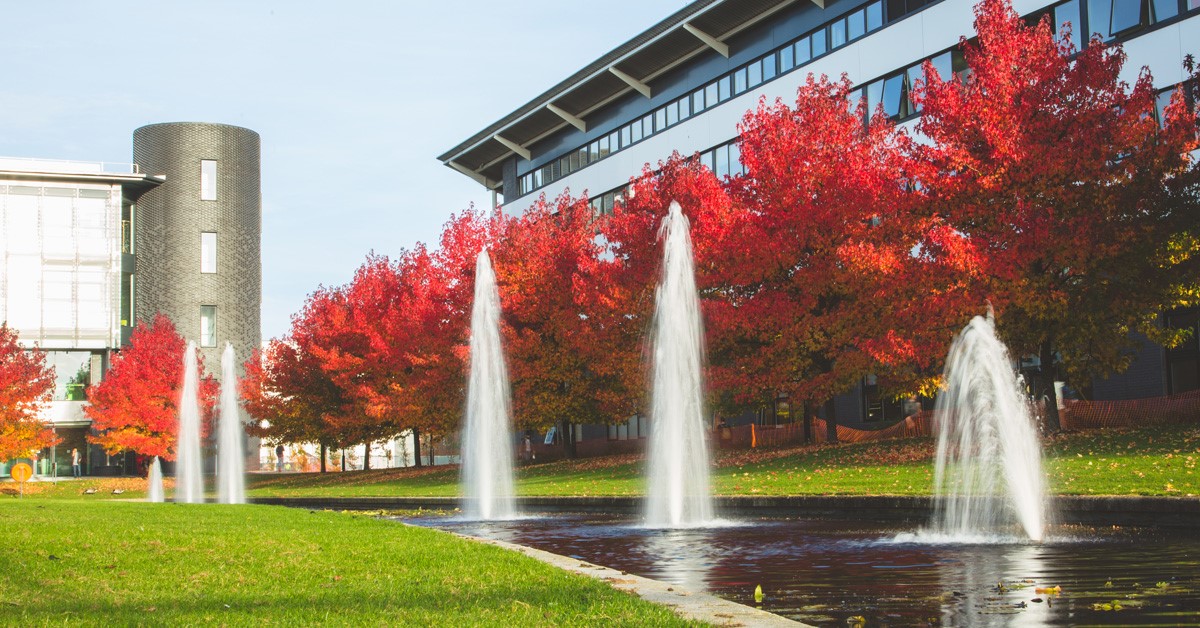 華威大學
